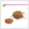 Hot Sale 100% White Mustard Seed Extract